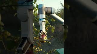 Smart Farming: How AI & Drones Are Feeding the World 🤖🌾