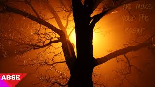 Guillemots - I don´t feel amazing now