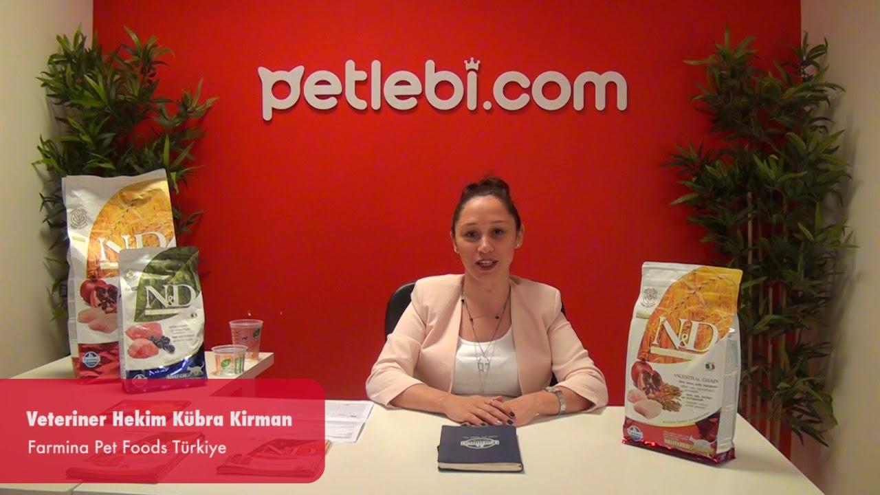 N&D Ancestral Grain Tavuklu ve Narlı Ata Tahıllı Yetişkin Kedi Maması 10kg tanıtım video görseli