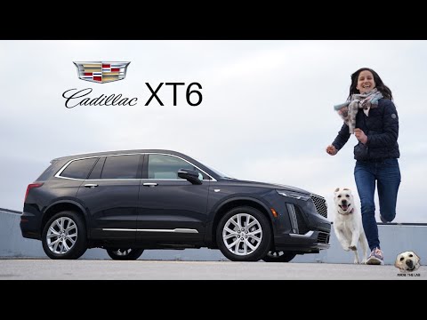 2020 Cadillac XT6: Andie the Lab Review! Video