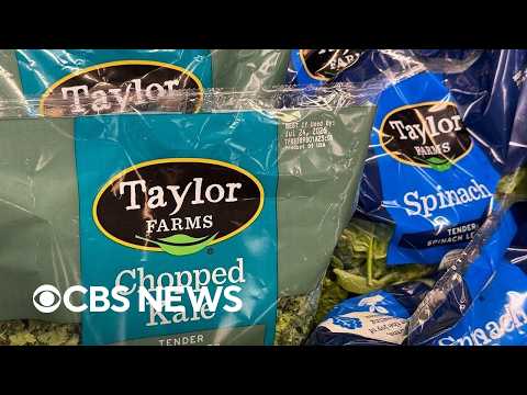 Lettuce that tested positive for cyclospora was false positive, FDA says