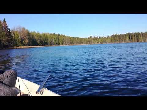 Kalastusta kivijärvellä | 5,5kg hauki