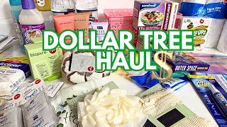NEW! DOLLAR TREE FINDS ESSENTIALS/MY GO TO'S HAUL - MARCH 2025 - THIS WEEK