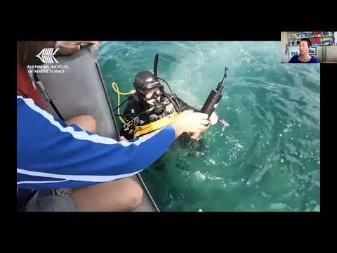 How and Why We Monitor Water Quality on the Great Barrier - full