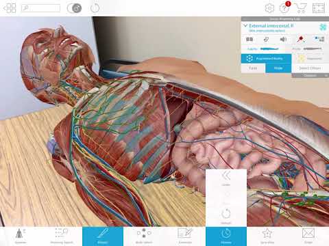 Augmented Reality Anatomy Demo ATLAS
