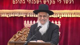 מצוות התורה בפרשת תרומה | הרב יורם סרי (הרב דניאל זר) - התמונה מוצגת ישירות מתוך אתר האינטרנט יוטיוב. זכויות היוצרים בתמונה שייכות ליוצרה. קישור קרדיט למקור התוכן נמצא בתוך דף הסרטון