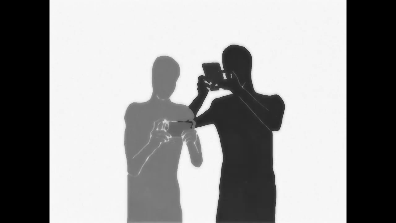 Elephant In A Haystack