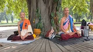 Sư Minh Thông và sư Tuệ Đức chia sẻ và trả lời câu hỏi gần xa gửi về...