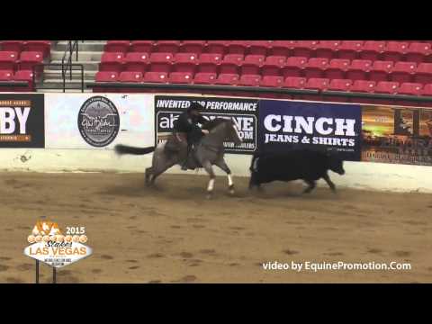 2015 NRCHA Stakes Open Champion - Blind Sided, shown by Jay McLaughlin