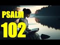 Psalm 102 Reading:  Do Not Hide Your Face from Me (With words - KJV)