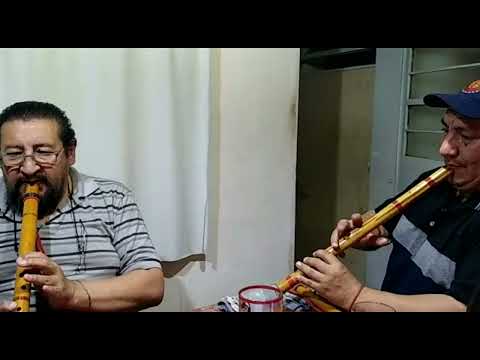 Carlos Cheuque "Diálogos con el viento" Raices Incas (Fragmento)