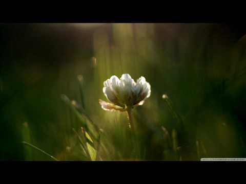 Aghajanyan // Fatum - Ծաղիկները հանդերում // Caxiknere handerum