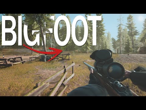 WE HUNT BIGFOOT in Yellowstone National Park!
