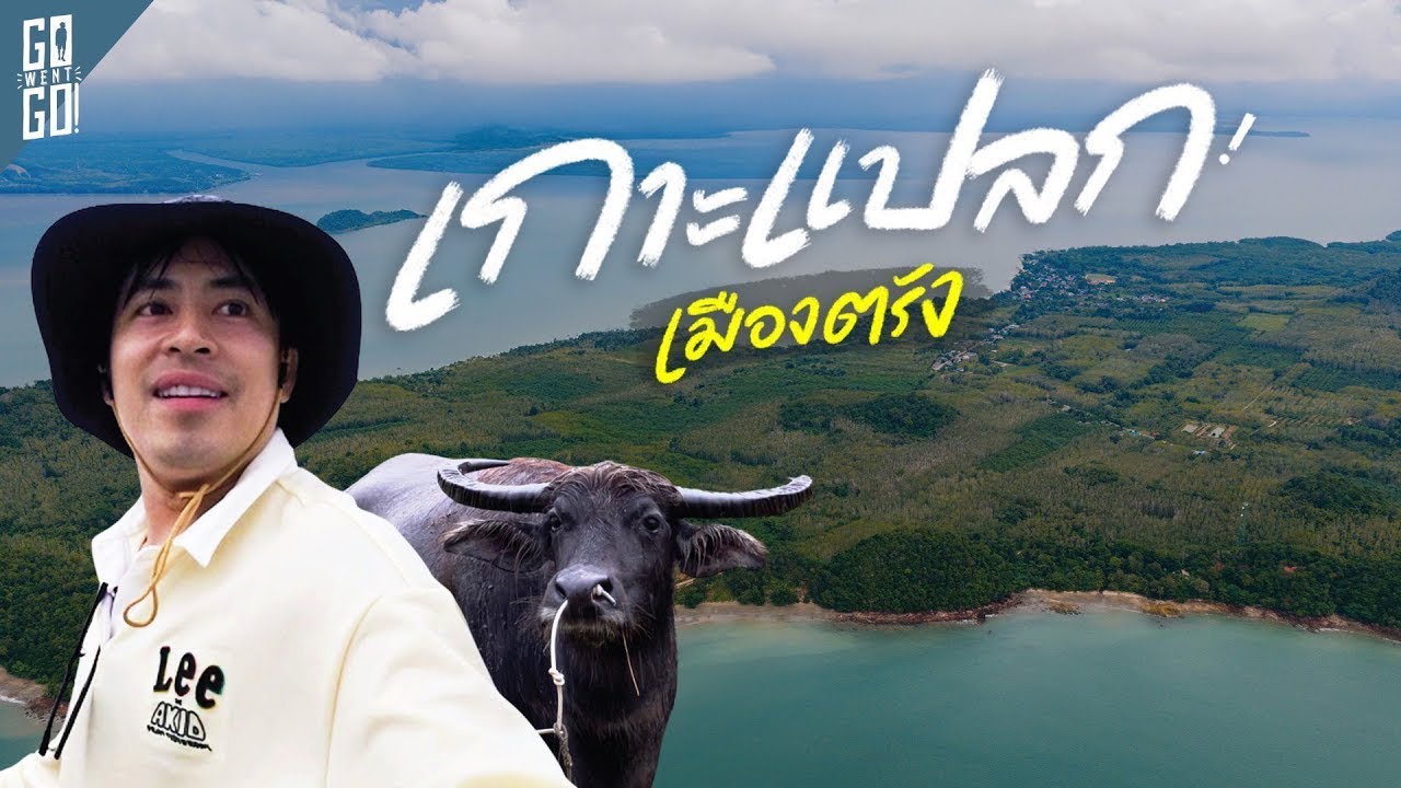 เกาะสุกร