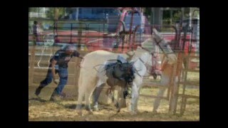 I'm a cowboy,,,,yes i am Tyler & Casper