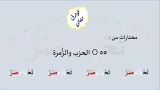 55 & صوت الحزب والزُّمرة image