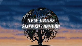 New Grass - Talk Talk (Slowed)