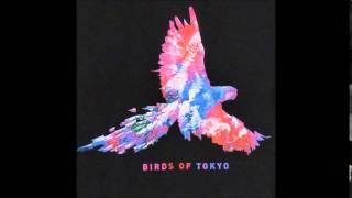 Birds Of Tokyo - The Gap