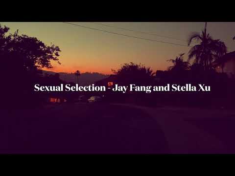 Sexual Selection - Jay Fang and Stella Xu