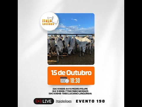 LEILÃO DA ITAJÁ LEILÕES