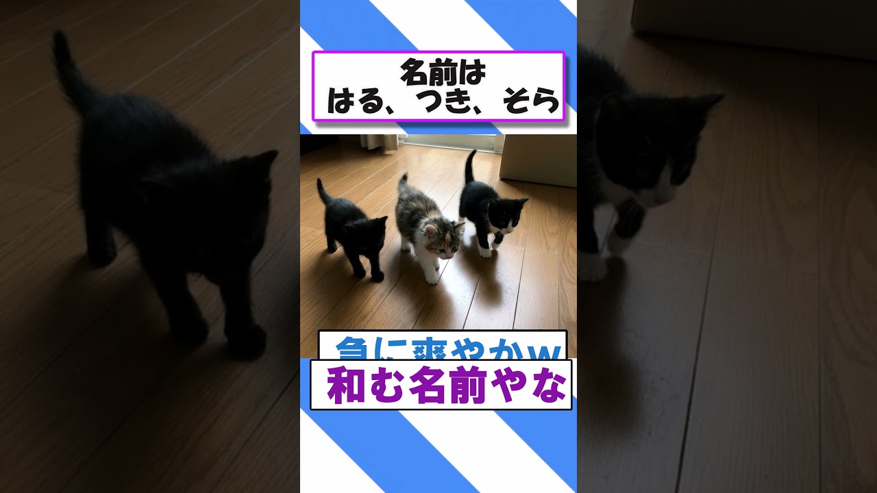 猫3匹拾ったで！#2ch面白いスレ #猫