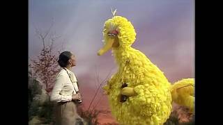 Muppet Songs: Big Bird and Leslie Uggams - Love Will Keep Us Together