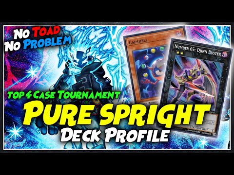Pure Spright Deck Profile | Top 4 Case Tournament | Post Darkwing Blast | October 2022 | Yu-Gi-Oh!