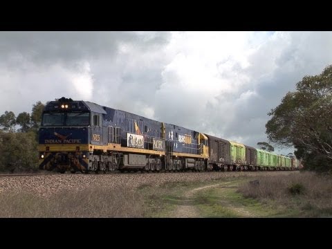 PN Freight near Culburra with Indian Pacific NR Leading.  Sun 19/08/12