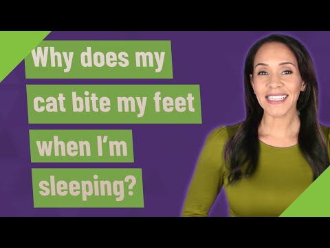 Why does my cat bite my feet when I'm sleeping?