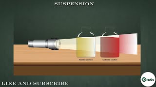 Suspension | Is matter around us pure? | Chemistry | Class 9