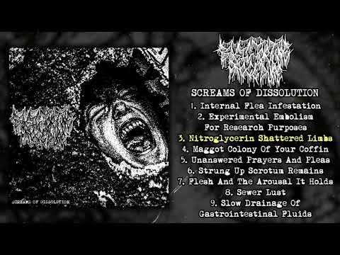 Basic Torture Procedure - Screams of Dissolution EP [split w/ Nyctophagia] (2021 - Goregrind)