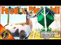 We Got A PIEBALD On Our Deer Feeder In Early Access TheHunter Call Of The Wild