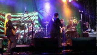 The Buckinghams -I&#39;ll Go Crazy