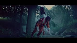 The Breeders - Spacewoman (Official Video)