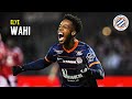 Elye Wahi • Fantastic Goals & Skills | Montpellier