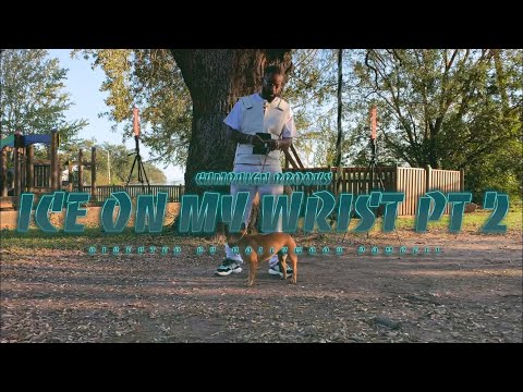 Campaign Brooks- Ice on my Wrist Pt.2 [[[Official Video]]] |||TTRDeluxeEP|||dir.HollywoodPompeii