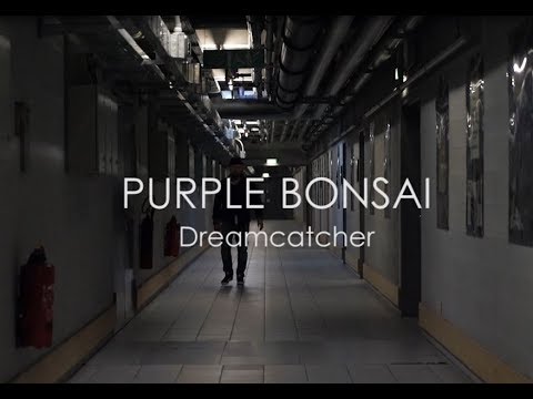PURPLE BONSAI  - Dreamcatcher (official music video)