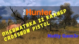 theHunter classic - тест оружия : пневматика .22 калибр и Crossbow Pistol
