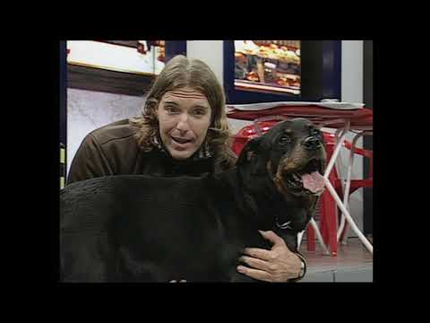 Sebastián Estevanez en Mar de Fondo