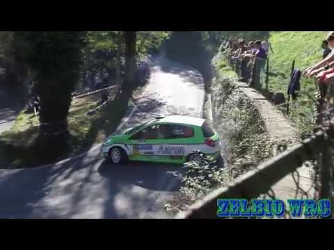 33° RALLY ACI COMO 2014 shake + after crash 34