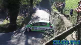 preview picture of video '33° RALLY ACI COMO 2014 shake + after crash 34'