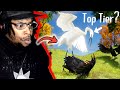 The Bird Tier List / DB Reaction