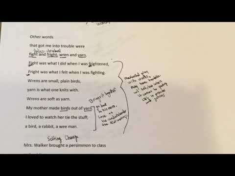 download lagu mp3 mp4 Persimmons Lee, download lagu Persimmons Lee gratis, unduh video klip Persimmons Lee