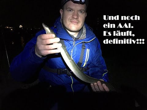 Knapp aber gehackt. Noch ein Aal zum räuchern.