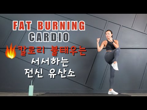 20분 땀 범벅 서서하는 유산소 운동/칼로리 폭발 [다이어트운동] 지나핏홈트 | Pumping Cardio at Home
