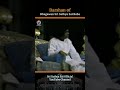Divine Darshan Of Sri Sathya Sai Sri Sathya Sai Official