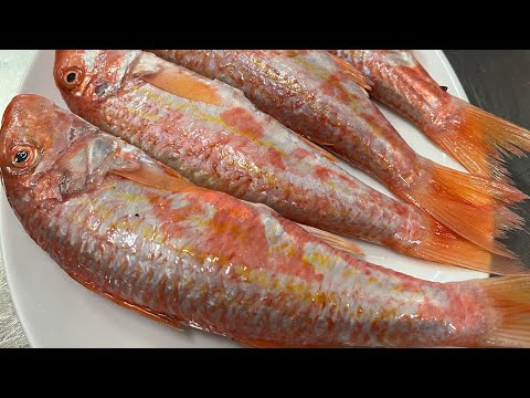 Red Mullet fish grill