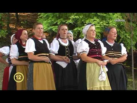 Alba Regia Senior - Asszonycsúfoló