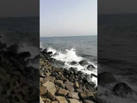 ١٧ يناير، ٢٠٢١