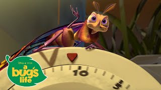 Download lagu Flamin' Hot Tricks 🔥| A Bugs Life | Disney Channel UK mp3